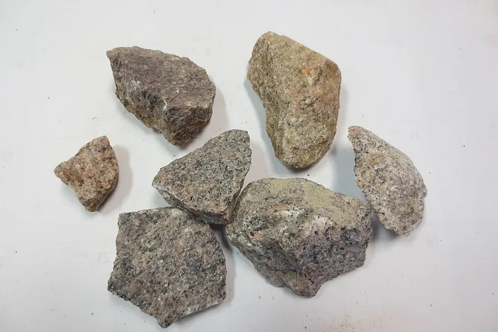 Biotite