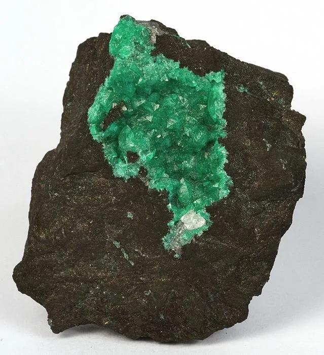 Bornite