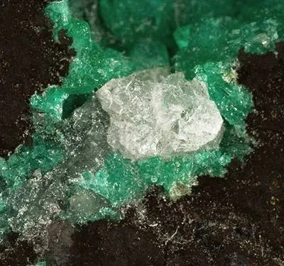 Bornite