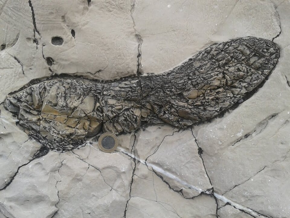 Chert