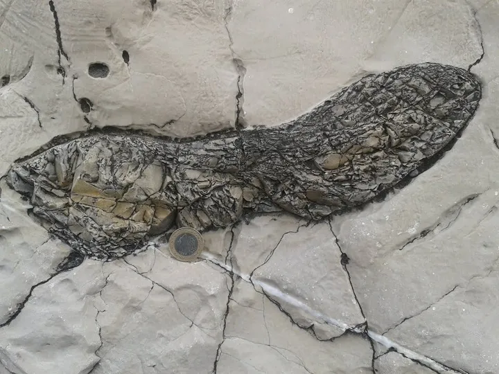 Chert