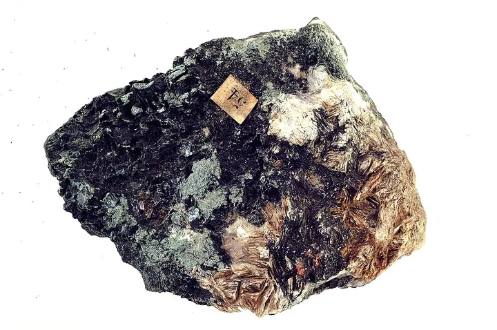 Diaspore