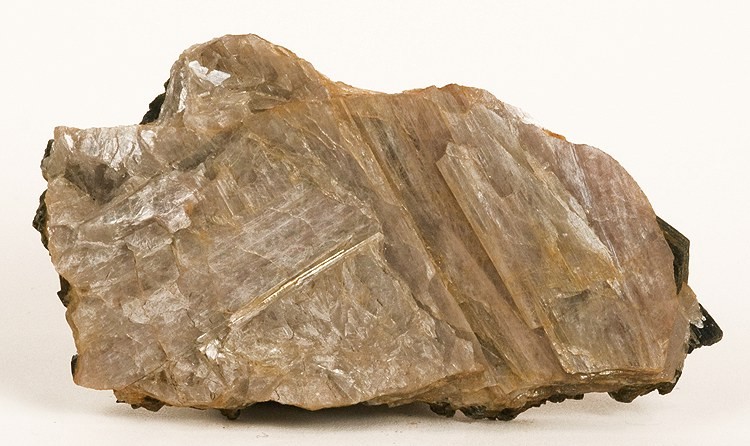 Diaspore