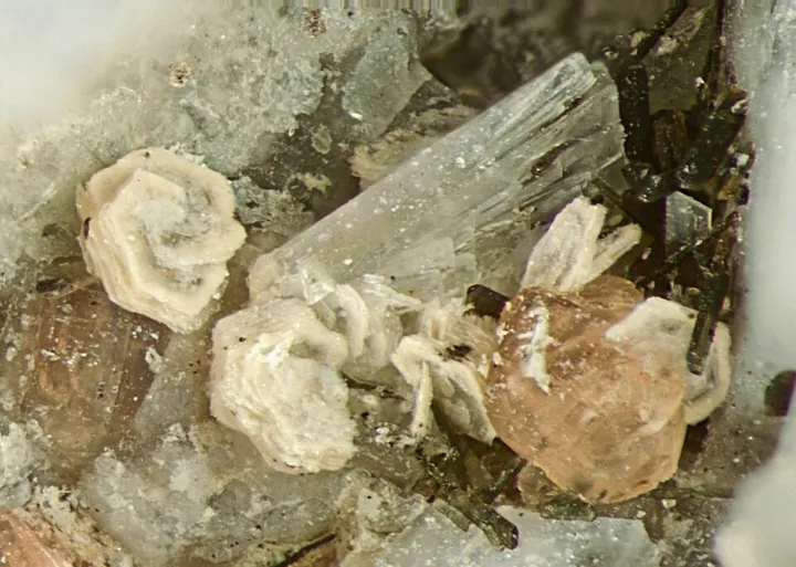 Eudialyte