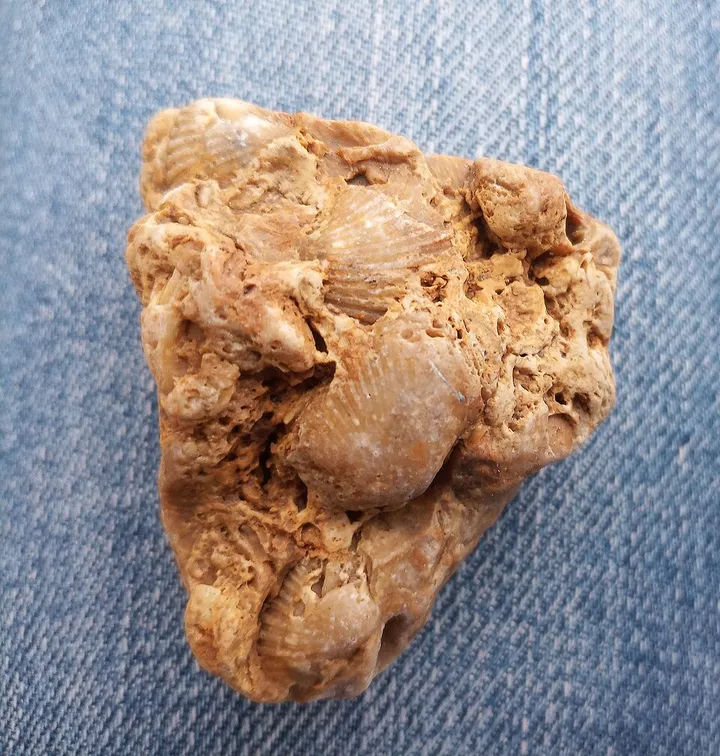 Limestone