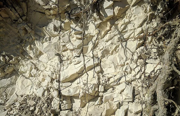 Limestone