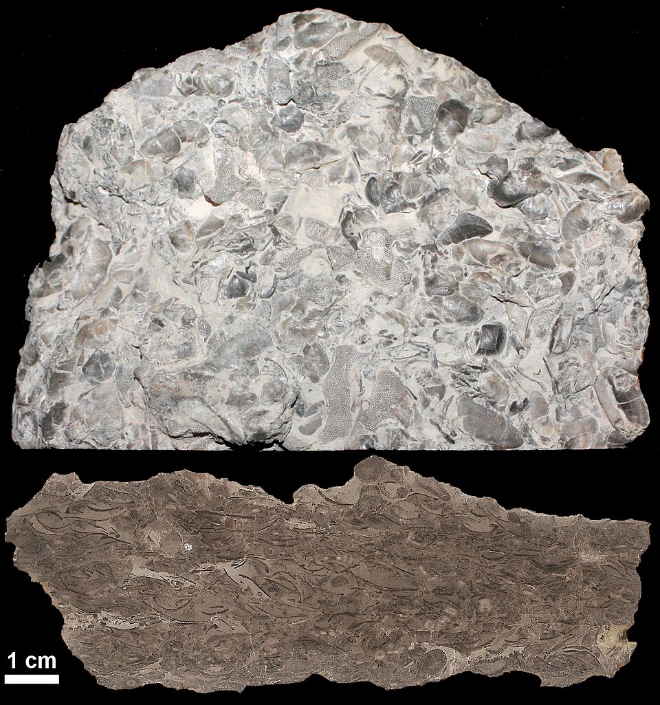 Limestone