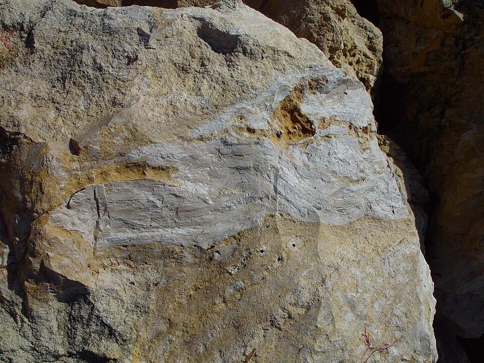 Limestone