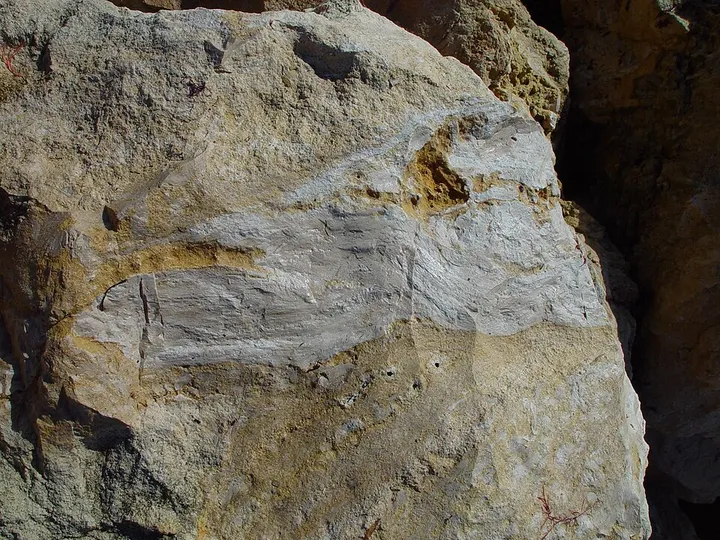 Limestone