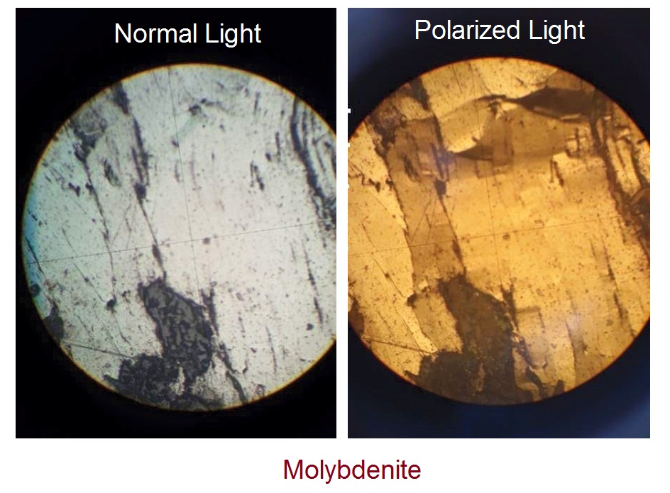 Molybdenite