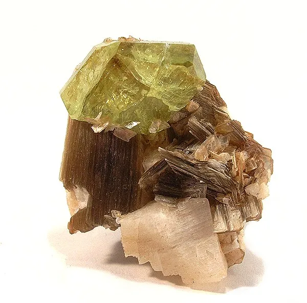 Muscovite