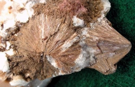 Pectolite
