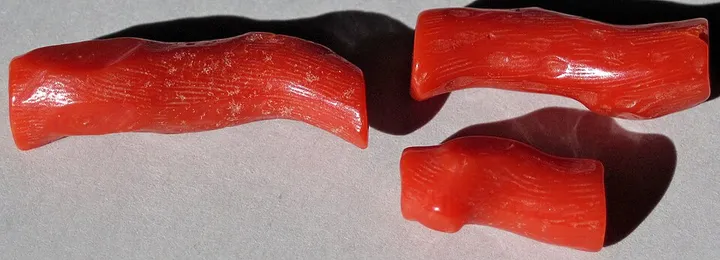 Red Coral