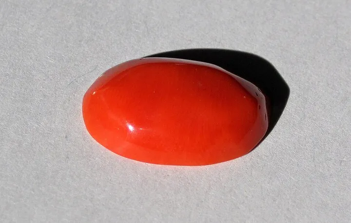 Red Coral