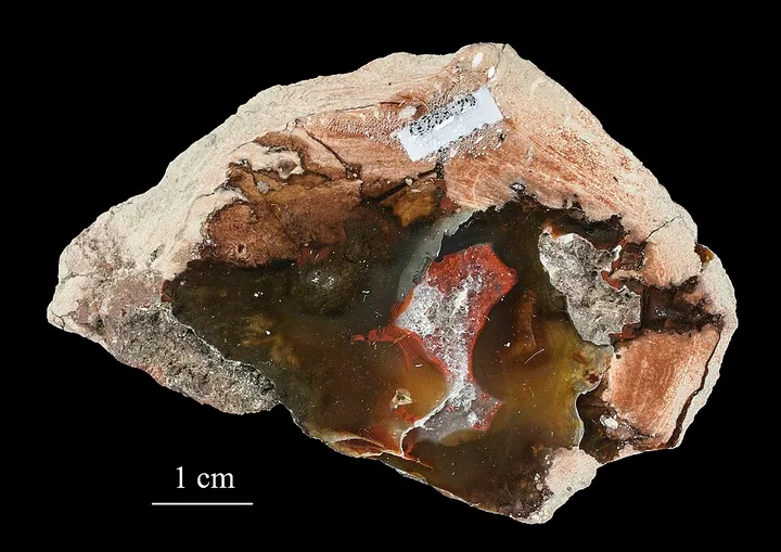Rhyolite