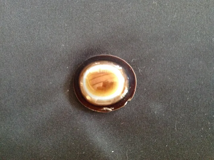 Sardonyx