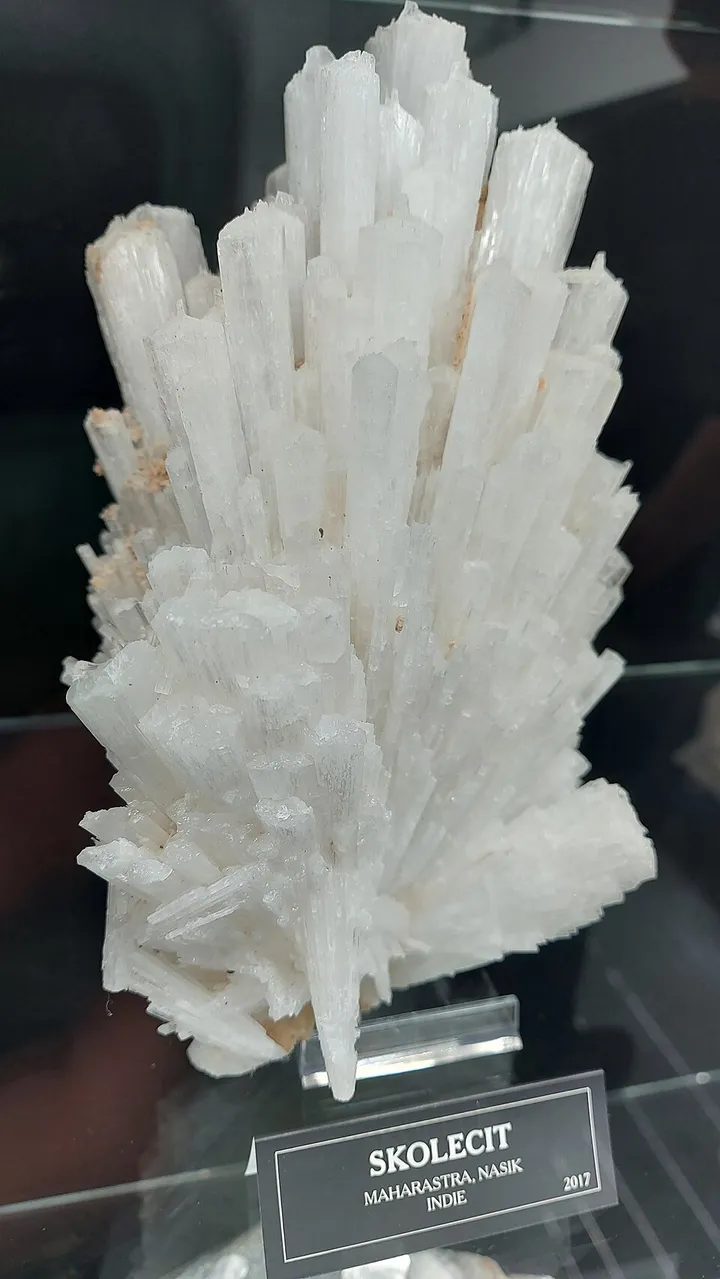 Scolecite