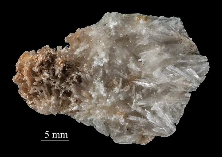 Scolecite