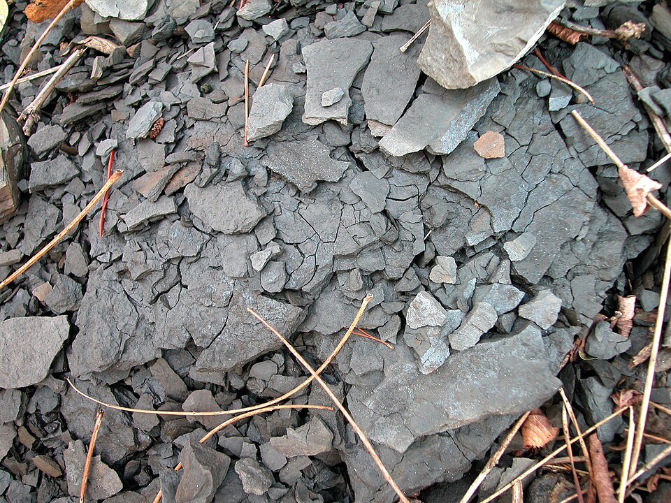 Shale