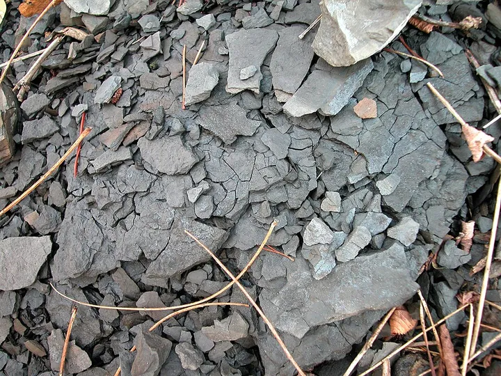 Shale