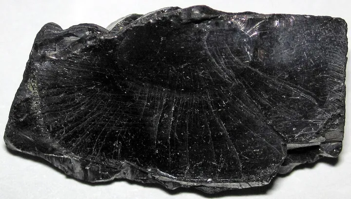 Shungite
