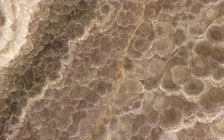Travertine
