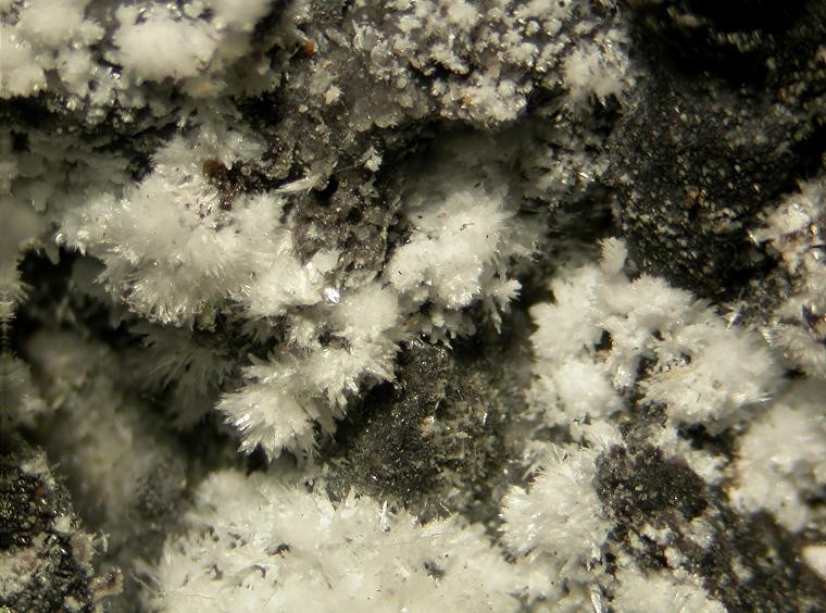Wollastonite