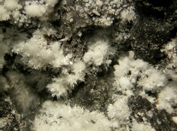 Wollastonite